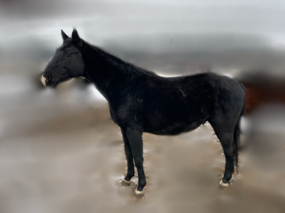 Polidarus (ex Polydeukes)/T.